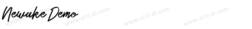 Newake Demo字体转换